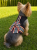 ChatGPT Image 28 kwi 2026, 12_24_59.png