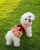 ChatGPT Image 30 kwi 2026, 15_00_28.png