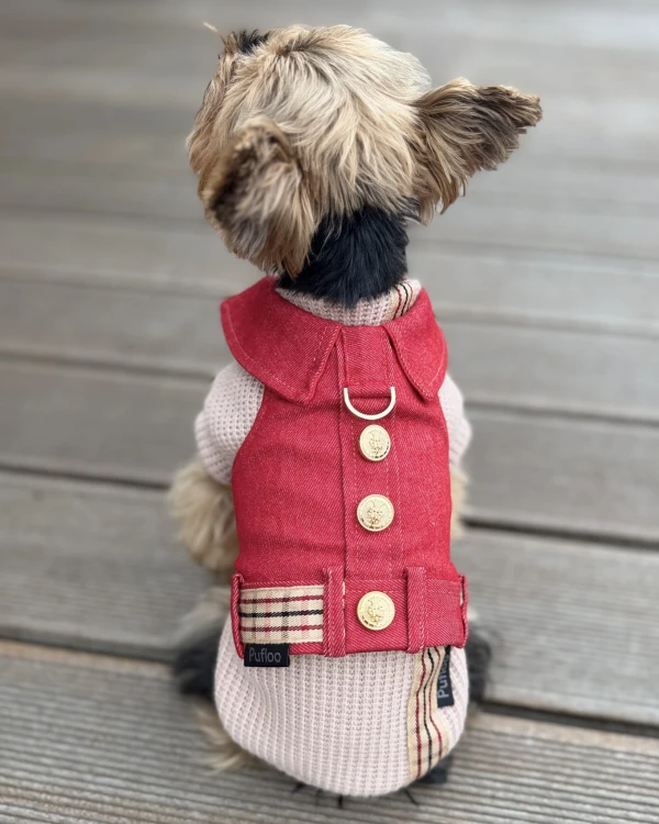 czerwone szelki jeans4.JPG