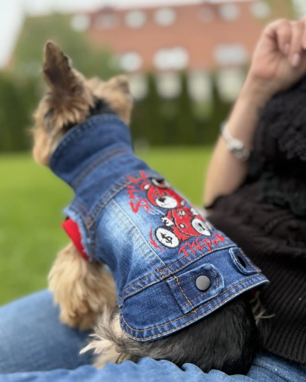 z miesiem jeans2.JPG