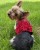 07FF1722-C366-4A87-B273-B9DD3364D273_4_5005_c.jpeg