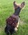68AC6C90-63ED-454C-9A7A-E4BC4A0FA0FC_1_102_a.jpeg