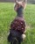 1981583C-12A8-4B77-A723-A6950BD91372_1_102_a.jpeg