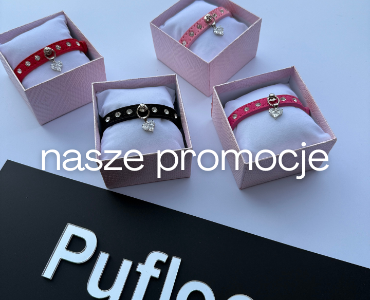 nasze inspiracje.png